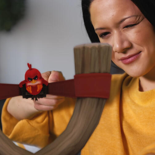 Angry Birds VR
